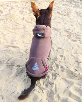 Одяг для собак Худі "LEKS TOY COFFEE". SKU 004487. Розмір S. Your Stylish Hunter. Худі для собак дрібних порід.