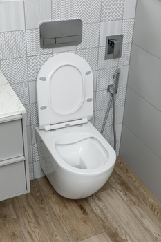 Унитаз подвесной KLECHNIOWSKA Latona Euro L530K с сиденьем Soft Close дюропласт 