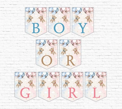 Гірлянда на гендер паті "BOY OR GIRL, хлопчик чи дівчинка"