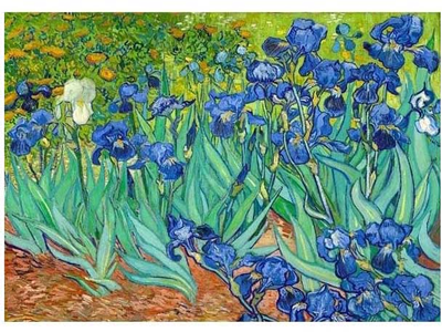 Puzzle Enjoy Vincent Van Gogh Irysy 68 x 48 cm 1000 elementów (5949194011858)