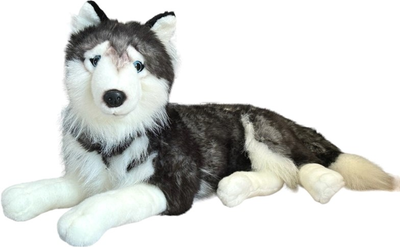 Maskotka Dubi Husky leżący 60 cm (5905965330047)