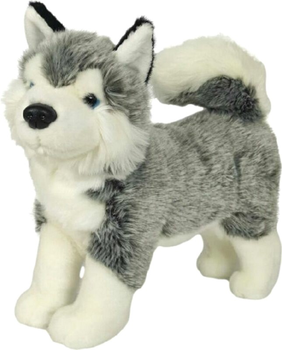 Maskotka Dubi Husky Stojący 32 cm (4548678010113)