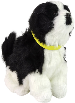 Maskotka Leantoys Pies Border Collie Czarno-biały 19 cm (5905214977368)