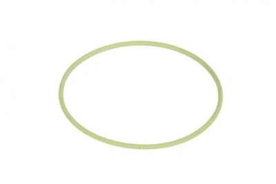 Уплотнительное кольцо Bosch (F 00R 0P1 255)