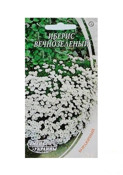 Иберис вечнозеленый ТМ "Семена Украины" 0.1г (12297)