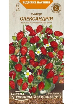 Земляника "Александрия" ТМ "Семена Украины" 0.1г (16642)