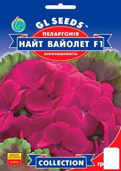 Пеларгония "Найт Вайолет F1" ТМ "GL SEEDS" 5шт (175606)
