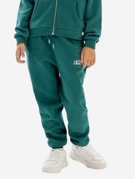 Детские теплые спортивные штаны-джоггеры для девочки Minoti 20fleece47 41396JNR 98-104 см Зеленые (5063025363913)