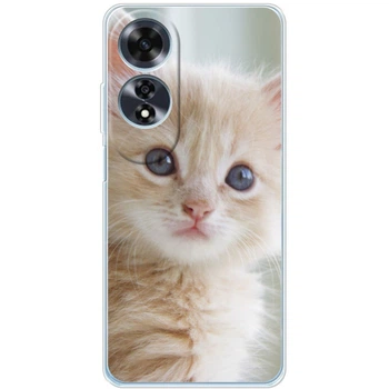 Силіконовий Чохол з Картинкою для OPPO A60 Принт (Котик) (57617-ysm99)