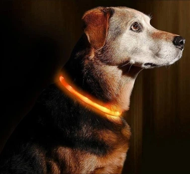 Нашийник світиться для собак Led з USB розмір L 70 см Помаранчевий