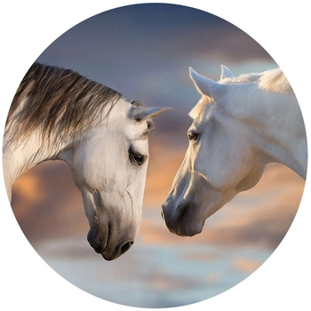 Uchwyt i podstawka do telefonu PopSockets Sunset Horses (4062519700808)