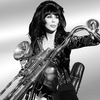 Виниловая пластинка Cher - Forever