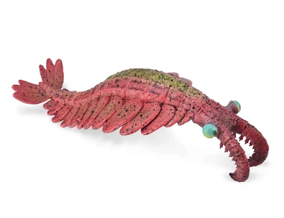 Аномалокаріс Anomalocaris CollectA 88977
