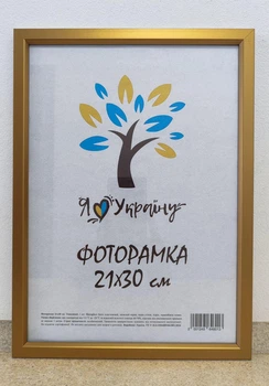 Фоторамка 21Х30, (А4), золотой с золотой вставкой, 1511-0491-11, ОРГСТЕКЛО + ДВП
