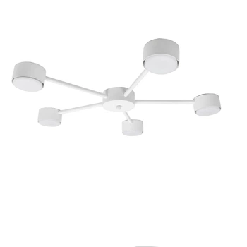Светильник потолочный Dots GX53 C5-325 Белый (7041312)