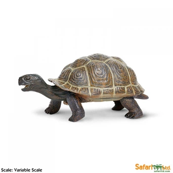 Сухопутна черепаха (дитинча), XL Safari Ltd 260829
