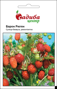 Насіння Суниці Hem Zaden Барон Рюген, 0,2 г, Садиба Центр