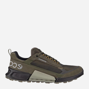 Buty trekkingowe męskie Biom 2.1 X Mountain M