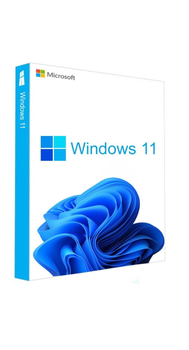 Microsoft Windows 11 Home - BOX pack - 1 license