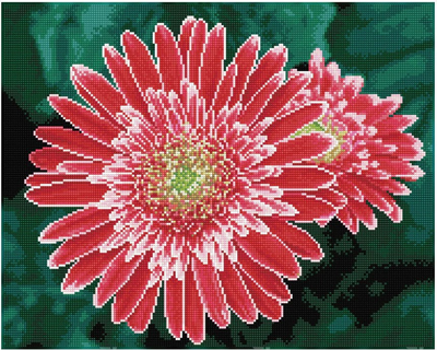 Zestaw do haftu diamentowego Dante Gerbera różowa 58 x 48 cm (4895225917938)