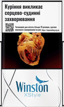 Блок сигарет Winston XStyle Silver x 10 пачек (4820000539685)
