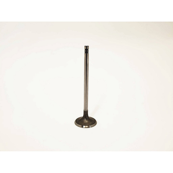 Клапан впускний (1шт) на Chery ELARA KLM Autoparts, 481H-1007011BA