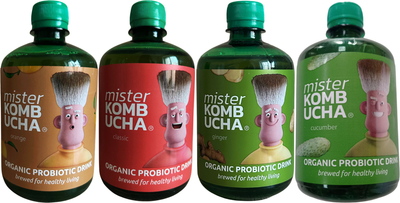Набор безалкогольных напитков Mister Kombucha Апельсин 0.5 л + Классический 0.5 л + Имбирь 0.5 л + Огурец 0.5 л (4820178065948)