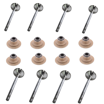 Комплект клапанів впуск/випуск + сальники клапанів амулет на Chery AMULET AfterMarket, 480E-1007011-1.6L