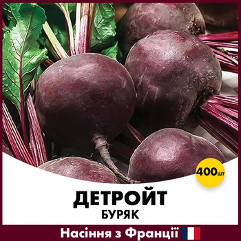 Столовая свекла Детройт, 400 шт, Семена из Франции