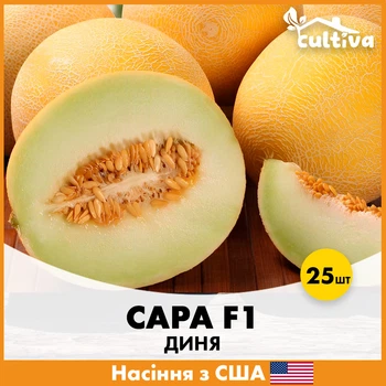 Дыня Сара F1, 5 шт, США