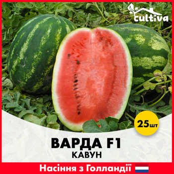Арбуз Варда F1, 25 шт