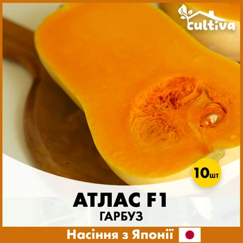 Мускатная Тыква Атлас F1, 10 шт