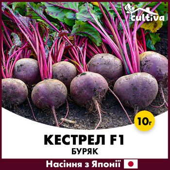 Столовая свекла Кестрел F1, 10 г, Япония