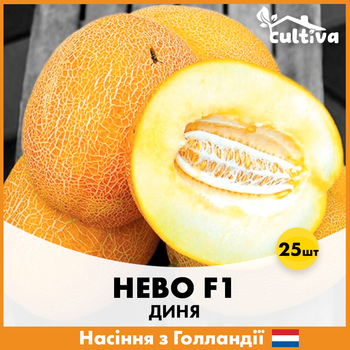 Диня Нево F1, 25 шт