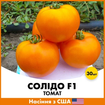 Томат Солидо F1, 30 шт