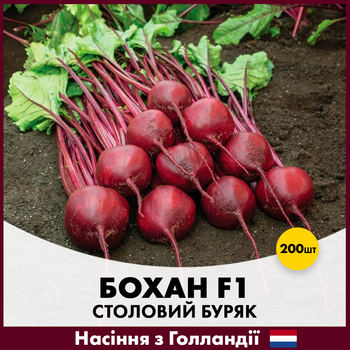 Столовая свекла Bejo Бохан F1, 200 шт