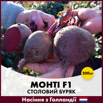 Столовая свекла Rijk Zwaan Монти F1, 200 шт
