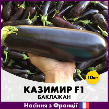 Баклажан Clause Казимир F1, 10 шт