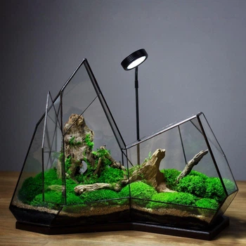 Флорариум с подсветкой Лесное сияние 40x48x29 см