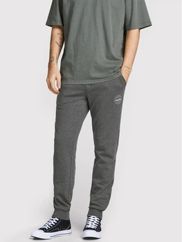 Спортивні штани Jack&Jones Gordon Сірий L 12165322