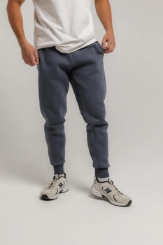 Чоловічі спортивні теплі штани 107BEK XL сірий