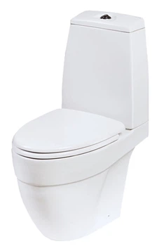 Унитаз-компакт AM.PM BLISS L C538608SC