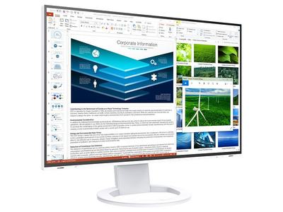 Монітор Eizo EV2485-WT