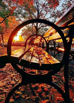 Фото листівка Cardsforsoul Осіннє сонце 10,5 Х 14,8 см
