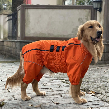 Комбінезон-дощовик для такс, коргі Derby Dog Suit Orange D-S