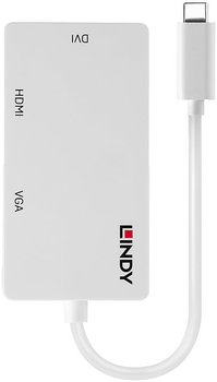 Adapter wideo Lindy VL100 external Biały (43273)