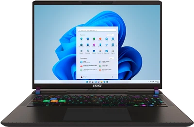 Ноутбук MSI Vector 16 HX A14V (A14VGG-254US) Space Gray