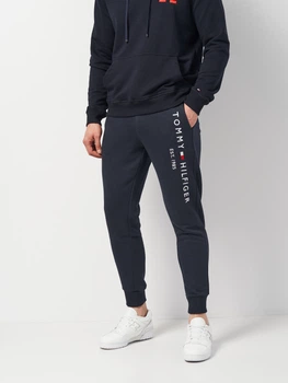 Спортивні штани чоловічі Tommy Hilfiger 11389.2 2XL Темно-сині (smt2000000023878)