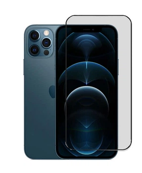 Захисна гідрогелева плівка DScreen для Apple iPhone 12 Pro Max матова (0.22 мм)