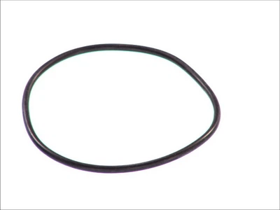 ELRING 562.807 Кільце ущільнювача паливного насоса 75X81X3
